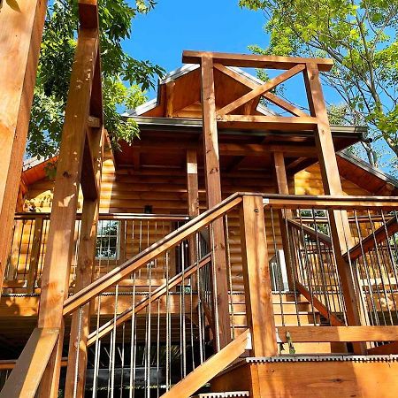 Cricket Hill Treehouse By Amish Country Lodging Millersburg Exterior photo